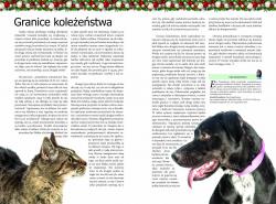 Grudzień 2019